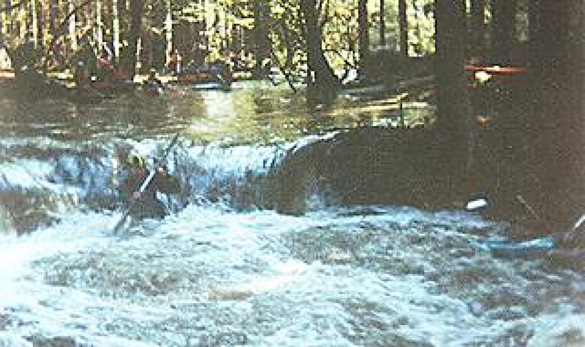 Vavřinečák 2000