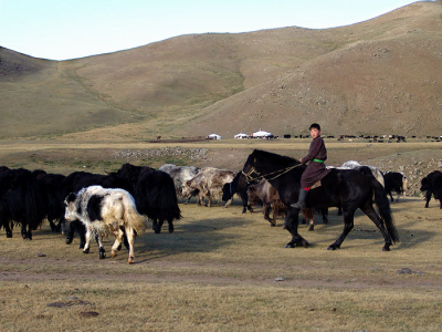 Mongolsko, co mi táhne hlavou cestou domů