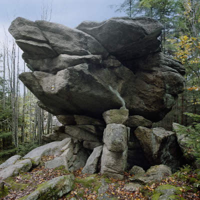 Kniha pro inspiraci: SCULPTURAE NATURAE - Sochy přírody