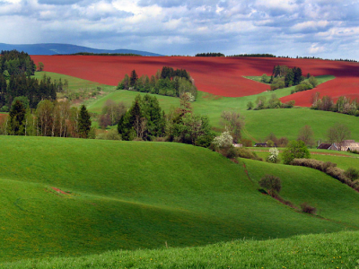 Dva lidé zaslouženě obhájili vítězství v druhém kole naší fotosoutěže