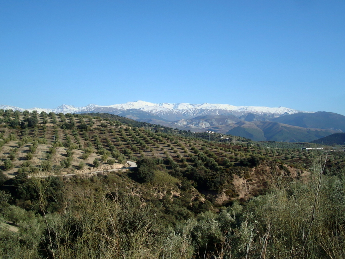 Granada – kulturní fúze v Andalusii
