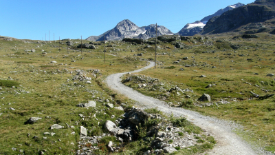 Single traily – Česko vs. Švýcarsko